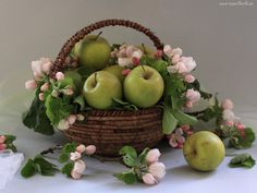 Centro Flores Nairobi, Floristería Online, Envíos a Domicilio, Entregas de Flores, Centros de Flores, Comprar Flores Online